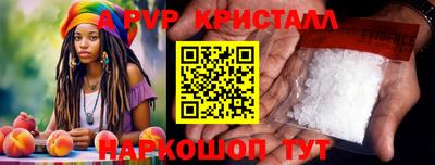 гашик Славгород